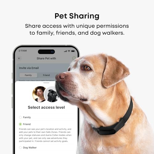 Averia Collar - Reliable GPS and Activity Tracker for Dogs