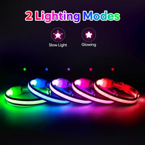 Flashseen LED Dog Collar, Light Up Dog Collar USB Rechargeable, Pink, XS