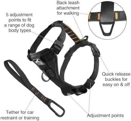 Kurgo Tru-Fit Smart Harness, Black, Large
