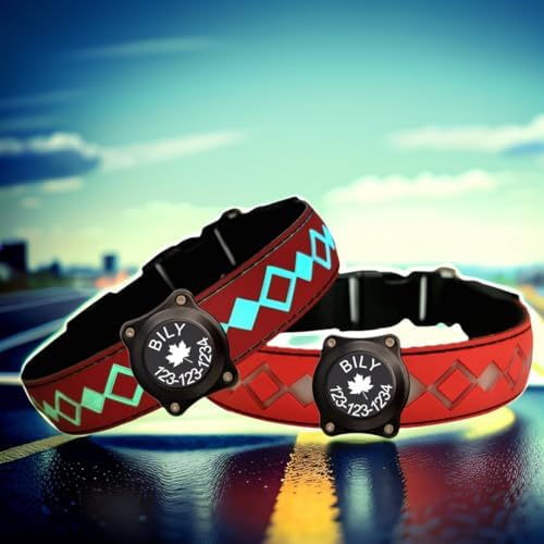 Personalized Flashing Night Dog Collar with Waterproof airtag Holder for Black Dog Night Walking (RED, S(7.87-11.8"))