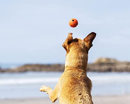 ChuckIt! High-Bounce Rubber Fetch Ball, Small (Colors Vary) 2 Pack