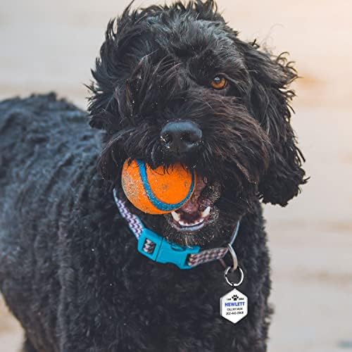 Dog Tags Personalized Pet ID Tags - QR Code Customize Dog Cat Tag - Pet Online Profile Display Pet Information