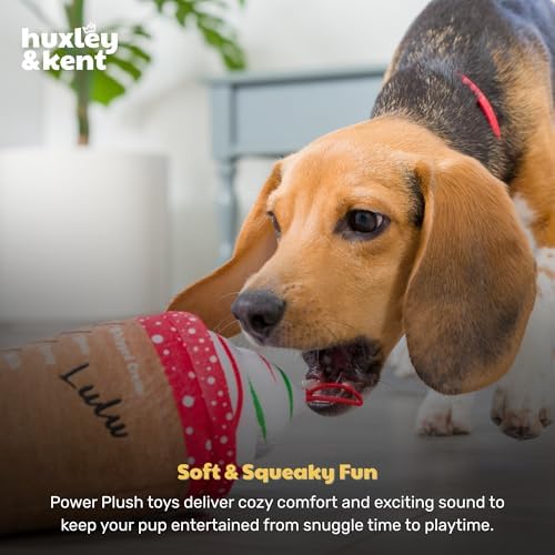Huxley & Kent Funny Dog Toy w/Squeaker – Holiday Power Plush Squeaky Dog Toys for Small, Medium & Large Dogs – Soft Stuffed Animal for Indoor Play & Fetch - Latte My Way, Large