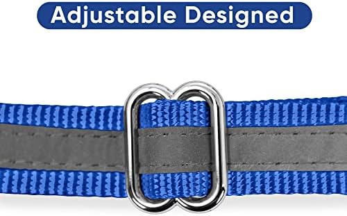 Pawtitas Blue Chain Martingale Dog Collar, Large