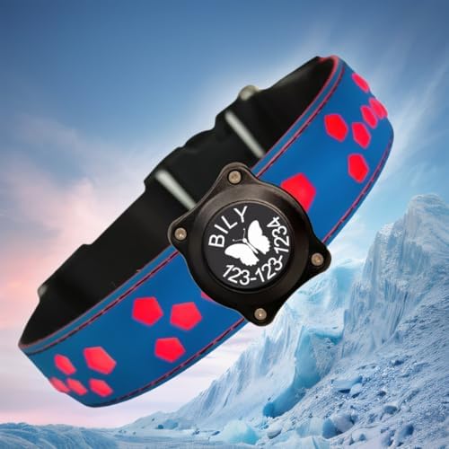 Personalized Light up Black Dog Collar with airtag Holder for Night Walk (Blue Collar 15 Modes Lighting, M(11.8-15.7"))