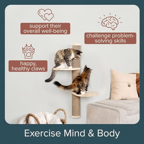 Cat Climbing Wall System – Modern Floating Shelves & Perches for Cats - Sunrise Steps | Ascentials by FurHaven