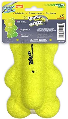 Nylabone Power Play Tennis Teddy Gripz Dog Fetch Toy, Medium