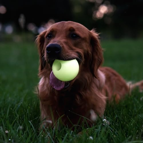 Harry Barker Glow-in-the-Dark Rubber Dog Fetch Balls, High-Bounce Interactive Toy with Safety Air Vent, 3 Inch, Launcher-Compatible
