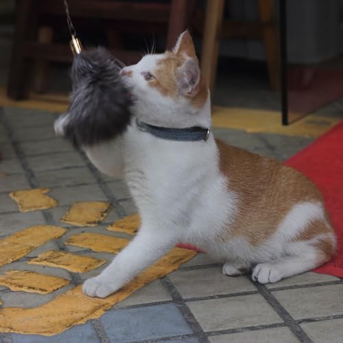 Fosrion Real Raccoon Tail Fur Cat Bites Toy with Three Section Retractable Carbon Fiber Rod (Fox Fur Piece, Tail & Fishing Rod)