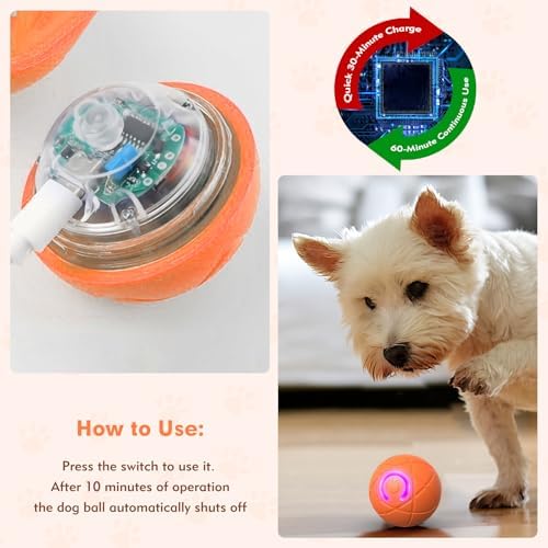 Interactive Dog Toys, Orange, for Small Dogs