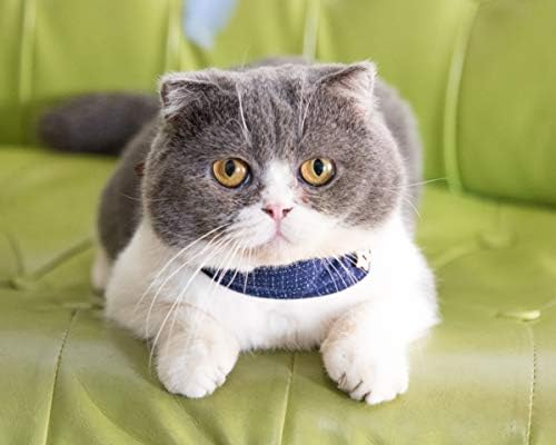 Small Dog Collar Set, 2Pcs Puppy Cat Collar with Bow Tie & Bandana, Durable PU Leather Canvas Tiny Pet Scarf for Small Breed Pets Blue Classic