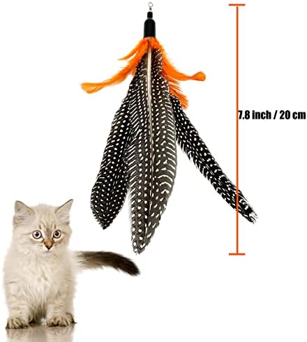 Cat Feather Toys Refill, 6 Pieces Cat Wand Attachments Da Bird Feathers Toy for Indoor Cats