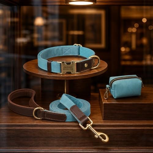 Personalized Dog Collars, Quick Release Buckle, Denim Blue,S