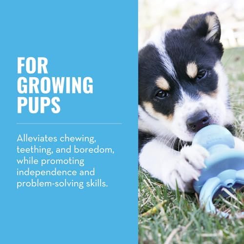 KONG Puppy Binkie - Pacifier Dog Toy for Puppies - Stuffable Treat Chew Toy for Treats - Durable Natural Rubber for Teething Puppy - for Small Puppies - Blue (Pack of 2)