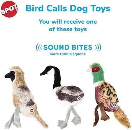 SPOT Bird Calls Plush Dog Toy with Realistic Bird Sound – 12" Sound Chip Toy for Dogs, One of Three Assorted Styles, Engaging Indoor Play for Small and Medium Breeds