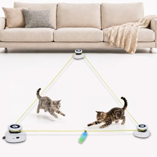 Automatic Cat Toy for Indoor Cats, Interactive Cat Chase Toy with Moving Feather Lure, DIY Floor Route Kit, Rechargeable Self-Play Cat Exercise Toy