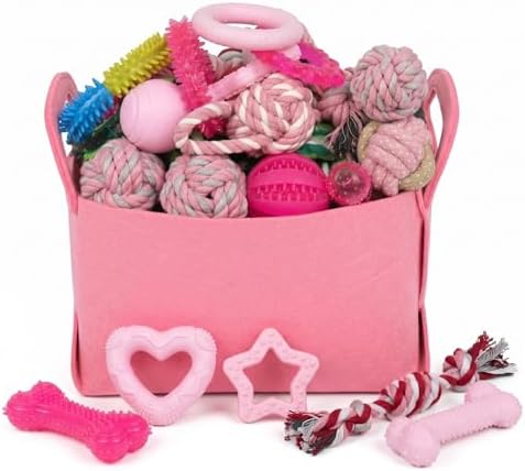 20 Pack Puppy Teething Chew Toys for Small Dogs, Bulk Dog Toys for Puppies