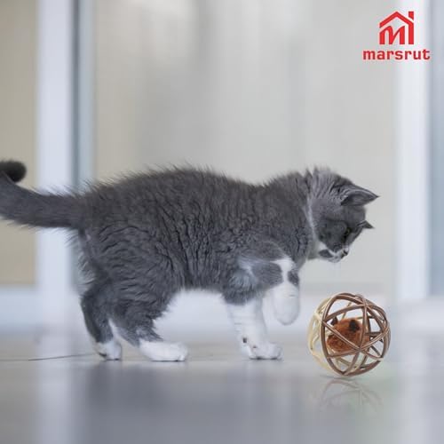 Squeaky Mouse Ball Cat Toy with Simulated Sound, Mouse Inside Cage, Squeky Balls for Cats to Play with Indoor, Squeak Interactive Plastic Funny Toys Best for Chewing Training Playing Chasing (Beige)