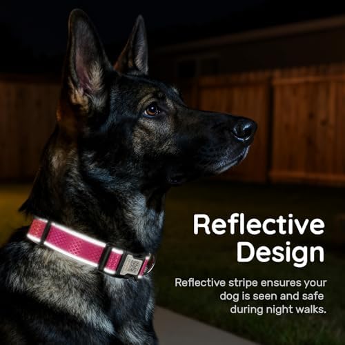 Reflective Dog Collar with QR Code Tag, Rose Red, M,(12.6"-19.6")