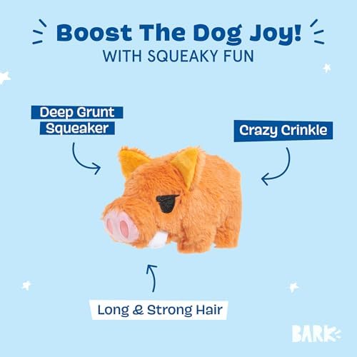 BarkBox Beau the Boar Plush Dog Toy - Toy for Small to Medium Dogs