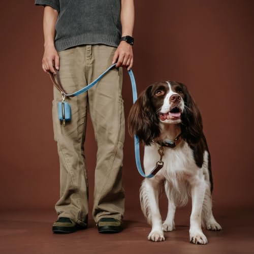 Personalized Dog Collars, Quick Release Buckle, Denim Blue,L