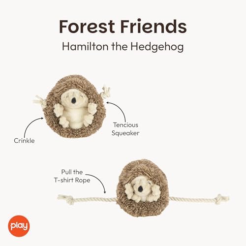 P.L.A.Y. Cute Plush Dog Toys - Forest Friends Critter Themed Durable Squeaker Crinkle Chew Toy, Great for Puppies & Small, Medium, Large Dogs - Machine Washable, Recycled Materials (Hedgehog)