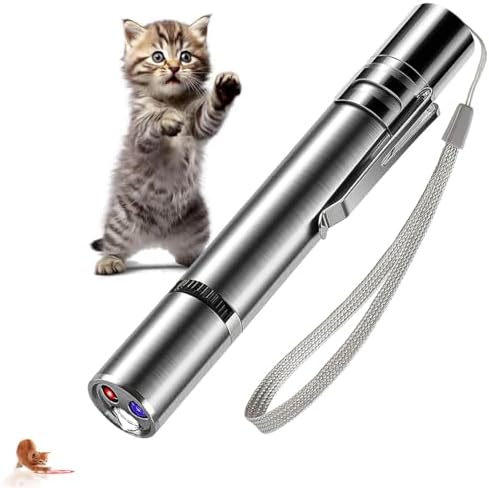 Interactive Cat Toy with Class 1 Laser, Indoor Pet Play Toy for Cats
