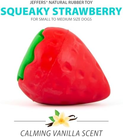 Jeffers Pet Natural Rubber Dog Chew Toy – Squeaky Strawberry, Small - Vanilla Scent, Durable, Non-Toxic, Dishwasher Safe, Interactive Fetch & Tug Toy - Perfect for Training Medium Chewers