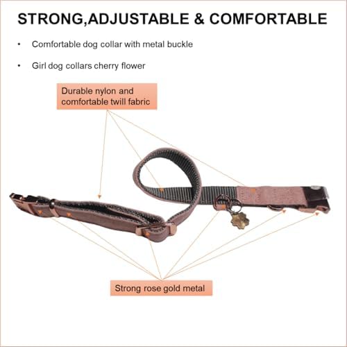 Rose Gold Dog Collar with Quick Release Buckle - Adjustable Soft Padded Nylon Pet Collar with ID Tag Ring for Small Medium Dogs, Comfortable & Durable Training Collar (Pink, Medium)