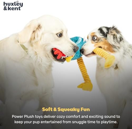 Huxley & Kent Funny Dog Toy w/Squeaker – Power Plush Squeaky Dog Toys for Small, Medium & Large Dogs – Soft Stuffed Animal for Indoor Play & Fetch - Squeak to Crunch - Lankies Red Rooster, Large