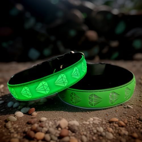 Personalized Dog Collar Waterproof airtag Dog tag Holder,USB C Light up Night Black Dog Collar (Green, M(11.8-15.7"))