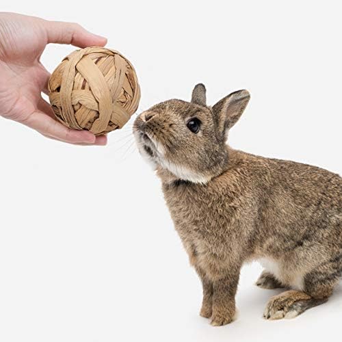 Niteangel Natural Chew Activity Toys: Meets Small Pet Chewing Needs & Mood