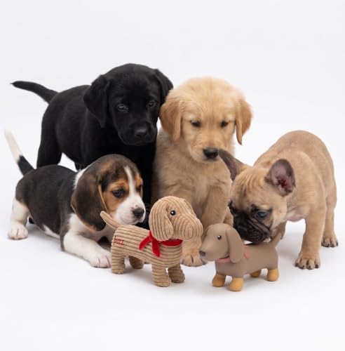 Fuzzl Sizzles the Dachshund Puppy Pack Dog Toys, Small, Pack of 2