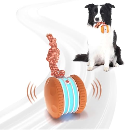 Interactive Dog Ball,Random Path Electric Moving Dogs Toy with Rope | Motion-Activated Automatic Rolling Interactive Dog Toy, USB-C Charging, 2 Speeds, For Small/Medium/Large Dogs.