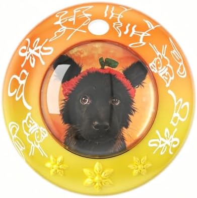 Custom Pet Portrait Tracker Tag with Apple Find My