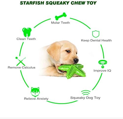Squeaky Dog Toys - Starfish Natural Teeth Cleaning Toy for Small & Medium Dogs (Green)