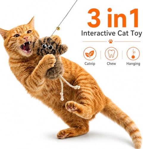 Cat Toys for Indoor Cats,Interactive Door Hanging Cat Toys Attached with Catnip/Worm/Birds/Mouse Toys for Cats/Kitten Toys(3 Pack)