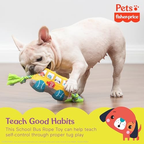 Fisher Price School Bus Rope Dog Toy