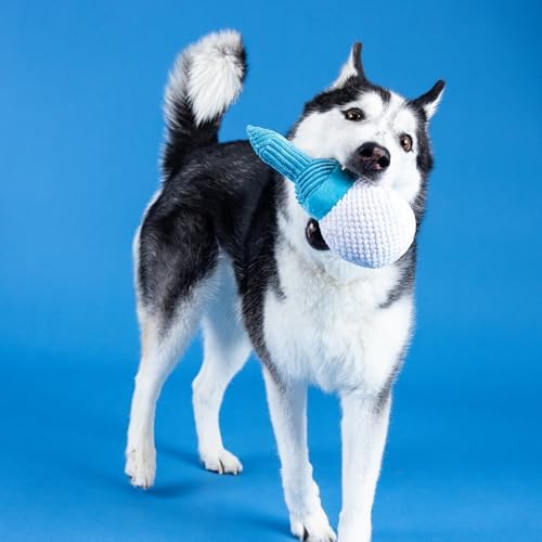 Fringe Studio Plush Dog Toy, Today is TEE-RIFFIC, Pet Shop Collection (314241)