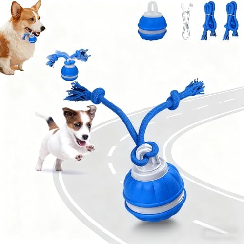 Interactive Dog Toys for Small Dogs – Peppy Pet Ball & Chase Buddy Dog Toy Active Rolling Puppy Toys to Keep Them Busy, Daily Training Interactive Puppy Toys