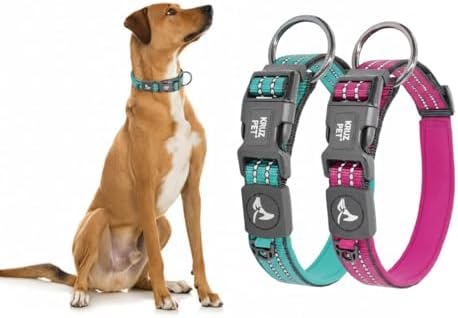 Dog Collar Bundle for Medium Dogs (Width- 3/4", Length - 17"-21.5") | Athletica Adjustable Turquoise & Raspberry Pink Dog Collar | No-Choke Vest with Lightweight Reflective Air Mesh