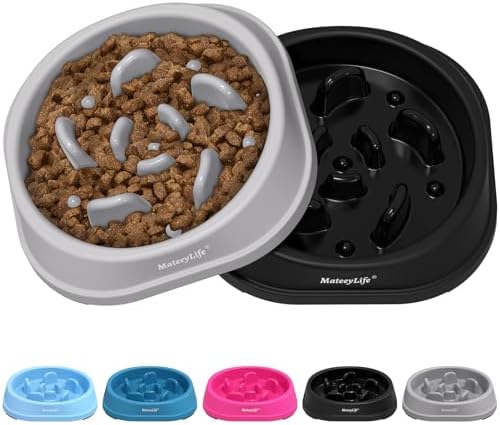 MateeyLife 2-Pack Slow Feeder Dog Bowls, 1 Cup, Dog Puzzle Feeder Bowl