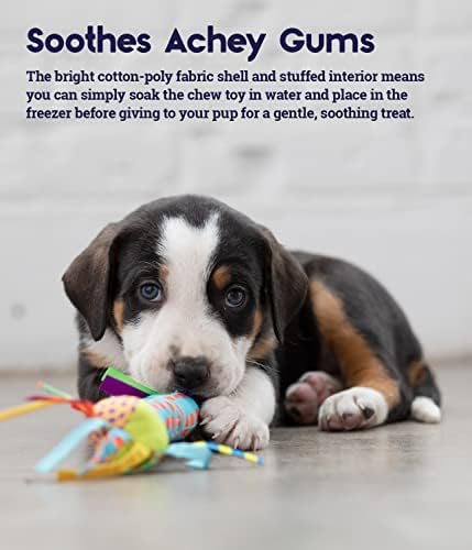 Cool Teething Stick Dental Dog Chew Toy, Soak & Freeze, 8.5"