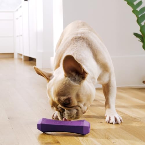 Playology Squeaky Chew Stick - Scented Dog Toy - Medium, Bacon Scent, 2-pk