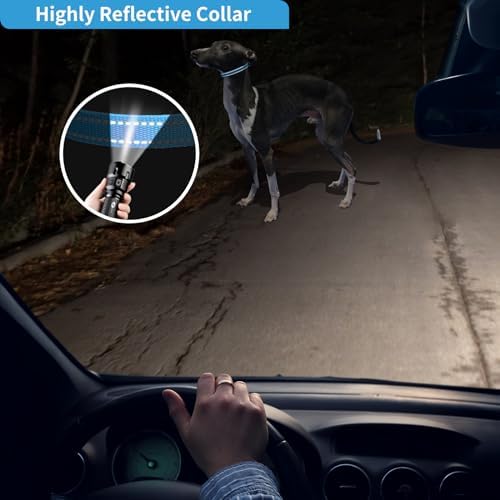 Shock Collar Replacement Strap 2-Pack, Reflective & Adjustable 3/4" Dog Collar for Training - Compatible with Jugbow, PetSafe, Bousnic, Garmin Replacement Collar Strap - 2 Pack