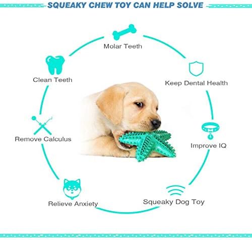 Squeaky Chew Toy - Starfish Water Floating Toy for Dogs, Natural Tooth Brush Teeth Cleaning for Small Medium Dogs - Blue