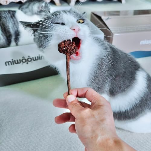 miwoowim 4PCS Silvervine Cat Sticks & Gall Fruit, Natural Dental Chew Toy