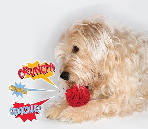 Glory To Dog Puppy/Small Breed Snuffle Dog Puzzle Ball Toy Red with Crinkle