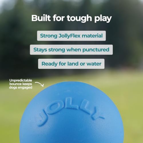 Jolly Pets Bounce-n-Play Dog Toy Ball, 6 Inches, Blueberry, All Breed Sizes
