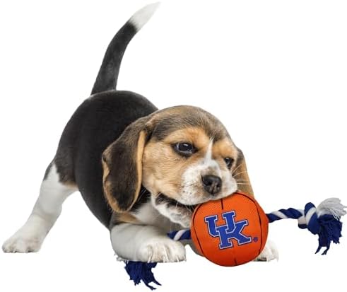 NCAA Kentucky Wildcats Basketball Rope Toy for Dogs & Cats. Tough Nylon, Sporty Basketball Design, Heavy-Duty Ropes with Inner Squeaker